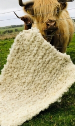 Large Rug/Blanket 