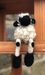 Rondo Sheep